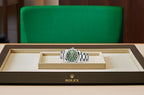 DATEJUST VERT OLIVE