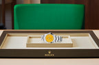 oyster perpetual jaune 36mm